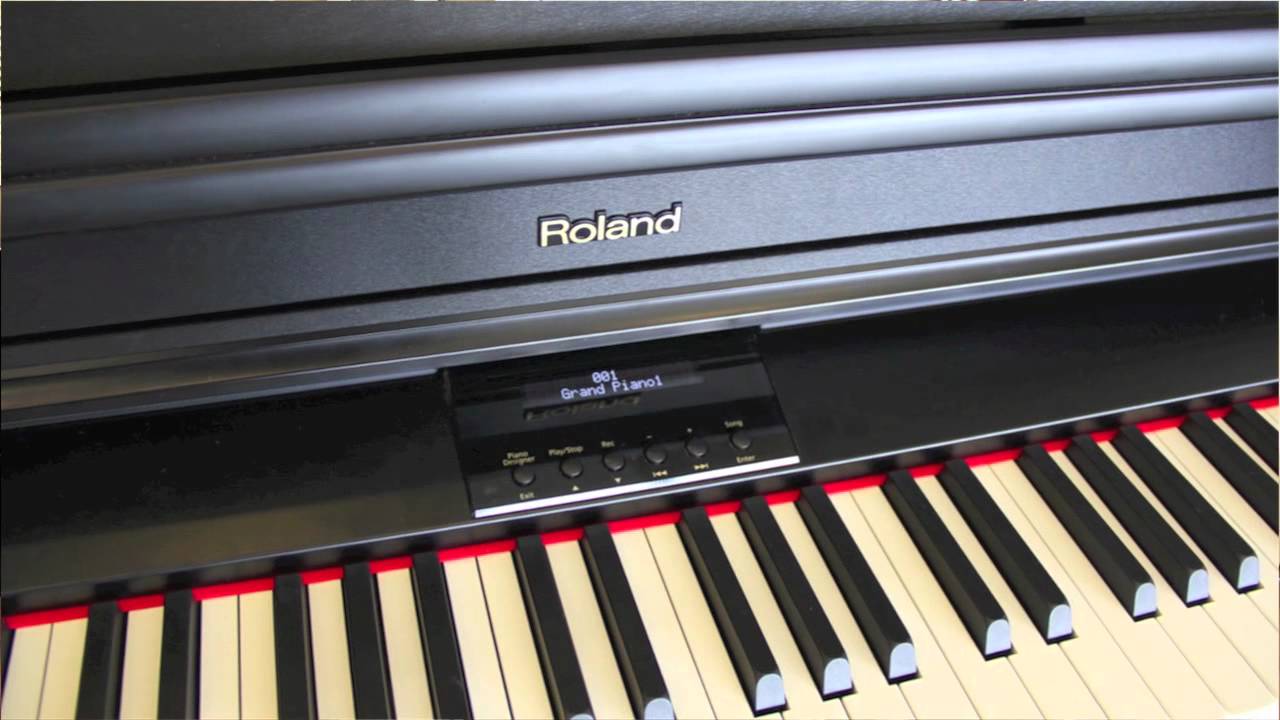   Roland RG-1F-SB