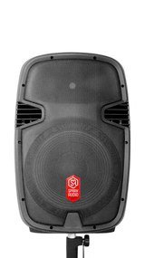 Акустическая система Spark Audio PJ-15AU - фото1