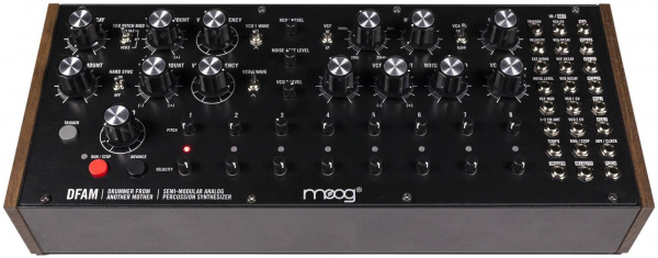 Синтезатор Moog DFAM 