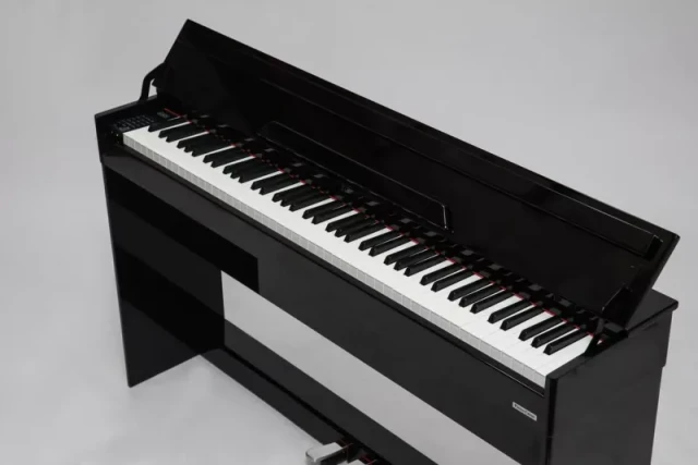 Pierre Cesar DP-17-PH-BK фото-3