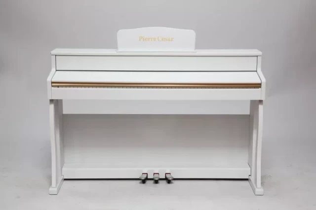 Pierre Cesar DP-500-H-WH фото-3