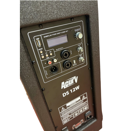 Acury DS12W