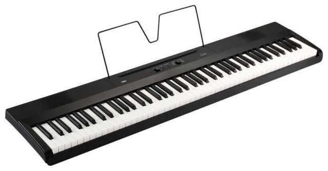 Korg L1 LIANO