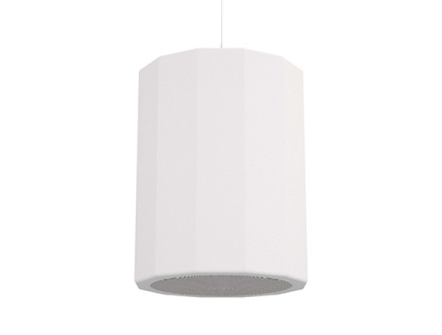 CVGAUDIO CUP5:8TW фото-3