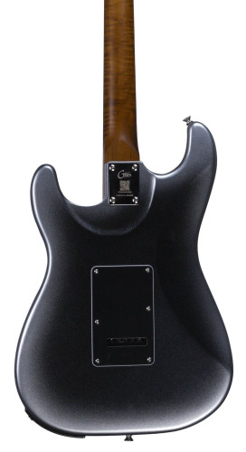 GTRS P800-Professional-800-DS - фото2 GTRS P800-Professional-800-DS - фото2