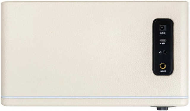 Mooer DH15i Hornet 15i WH - фото2