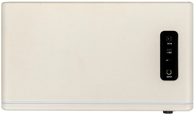 Mooer DH30i Hornet 30i White - фото2