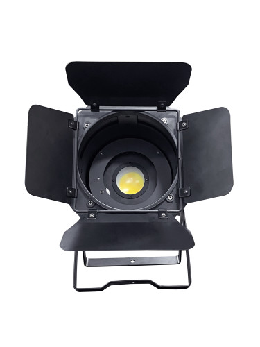 Xline LED PAR 200WB COB - фото1