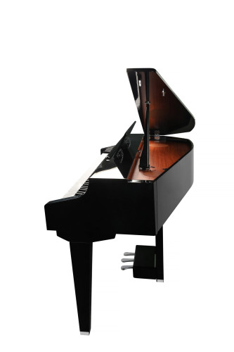 Kurzweil CUP G1W BP фото-3