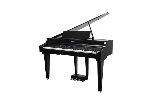 Kurzweil CUP G1W BP - фото2