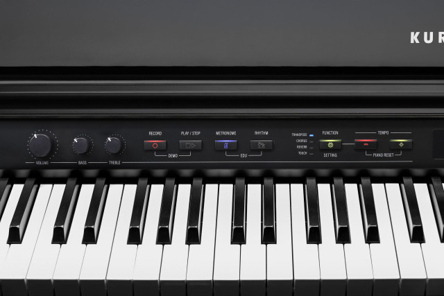 Kurzweil CUP G1W BP фото-5