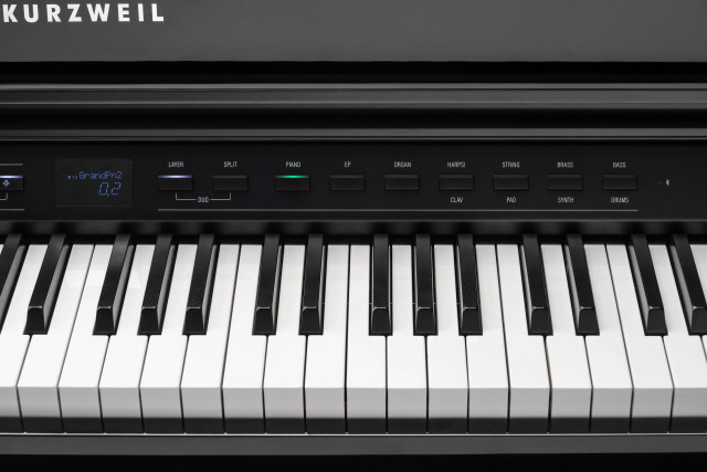 Kurzweil CUP G1W BP фото-4