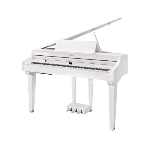 Kurzweil CUP G1W WHP - фото2