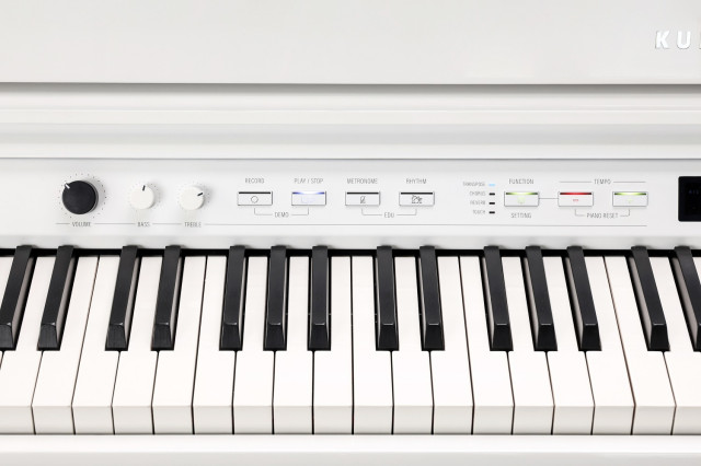 Kurzweil CUP G1W WHP фото-4