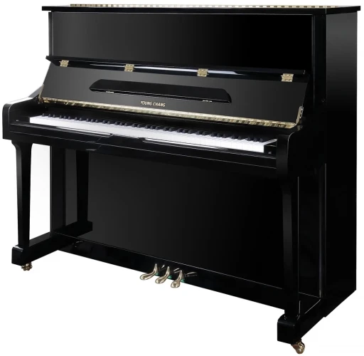 Young Chang YC121E BP - фото1