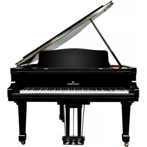 Young Chang YC158E BP - фото1