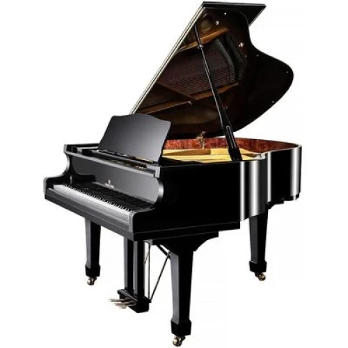 Young Chang YC158E BP - фото2