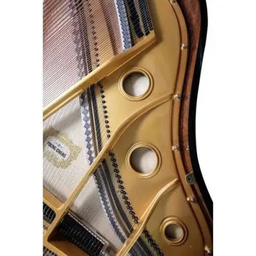 Young Chang YC158E BP фото-9