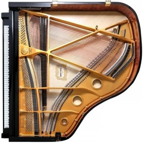 Young Chang YC158E BP фото-5