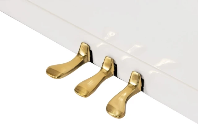 Young Chang YC121E WHP фото-5