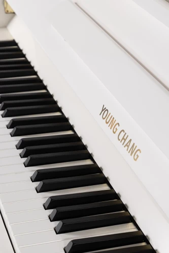 Young Chang YC121E WHP фото-3