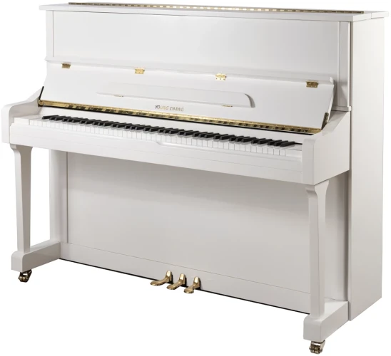 Young Chang YC121E WHP - фото1