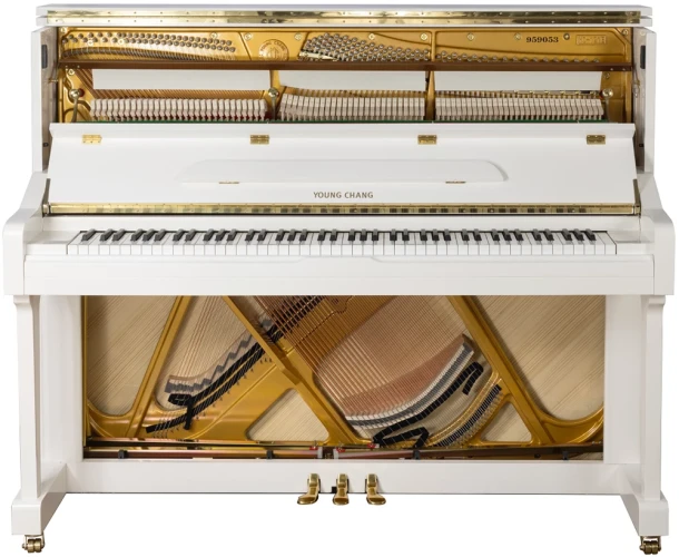 Young Chang YC121E WHP - фото2