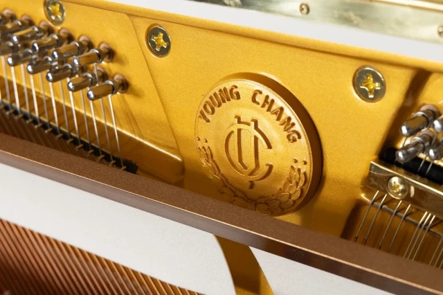 Young Chang YC121E WHP фото-6