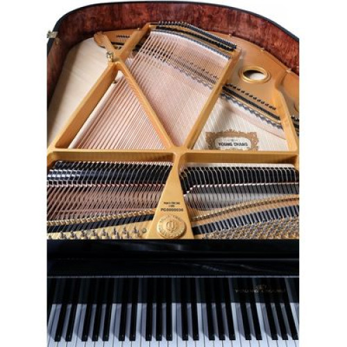 Young Chang YC168E BP фото-6