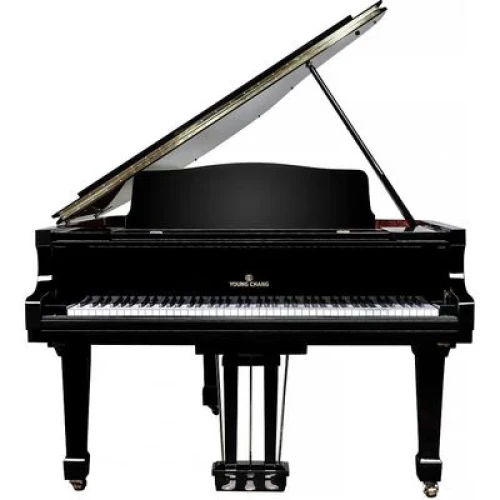 Young Chang YC168E BP - фото1