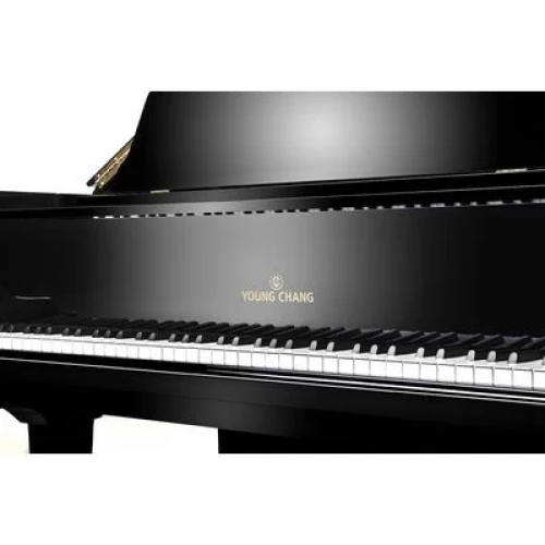 Young Chang YC168E BP фото-4