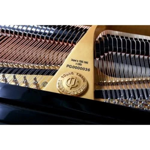 Young Chang YC168E BP фото-7