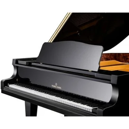 Young Chang YC186E BP фото-3