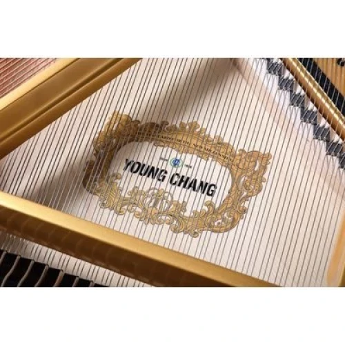 Young Chang YC186E BP фото-8