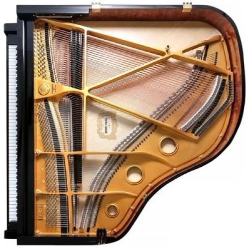 Young Chang YC186E BP фото-5