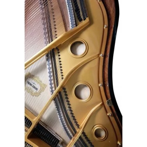 Young Chang YC186E BP фото-9