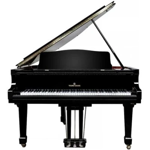 Young Chang YC186E BP - фото1