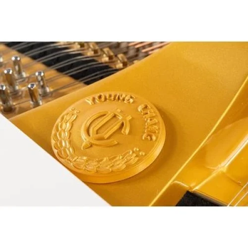 Young Chang YC158E WHP фото-5