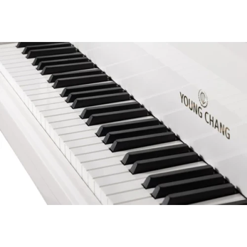 Young Chang YC186E WHP фото-3