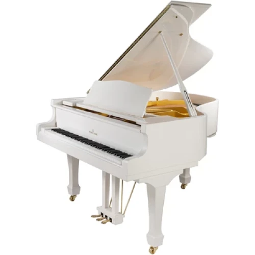 Young Chang YC186E WHP - фото2