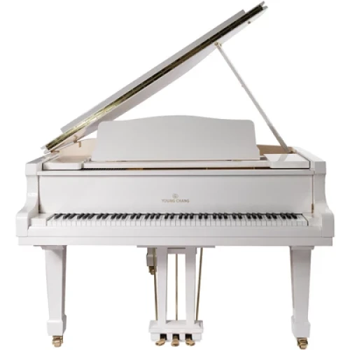 Young Chang YC158E WHP - фото1