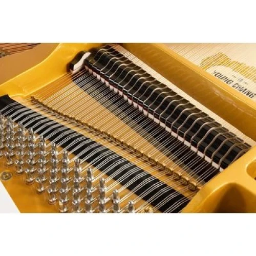 Young Chang YC186E WHP фото-4