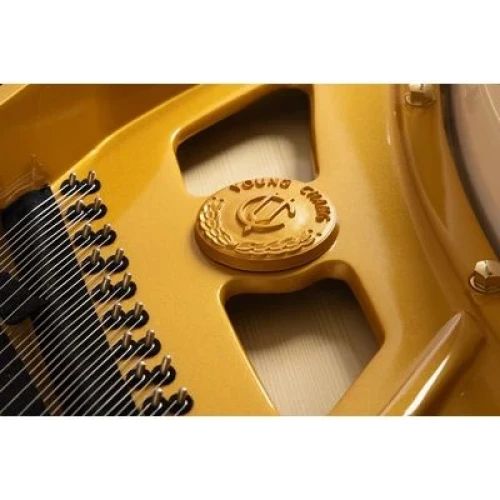 Young Chang YC186E WHP фото-5