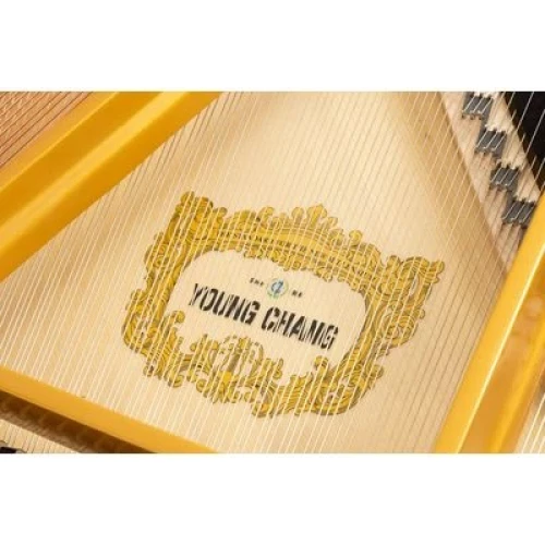 Young Chang YC186E WHP фото-6