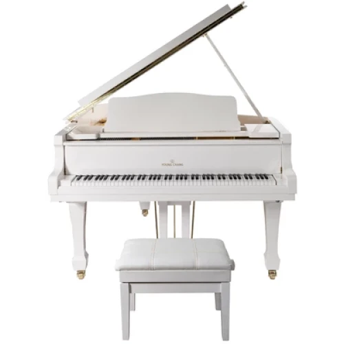 Young Chang YC186E WHP - фото1