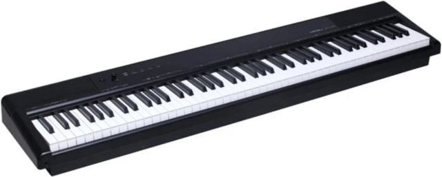 Medeli SP-C120-WOS - фото2