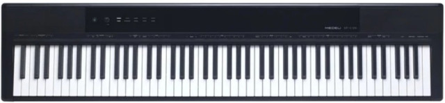 Medeli SP-C120 - фото2