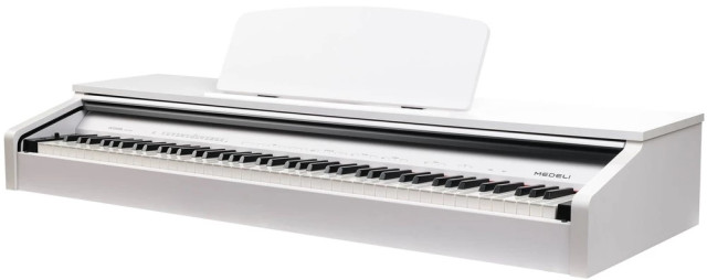 Medeli DP250RB-GW - фото2