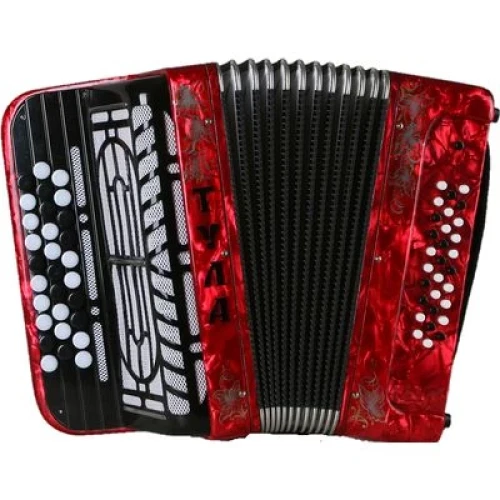 БАЯН ученический детский одноголосный «ТУЛА», 30×30-II БН-56 - фото1