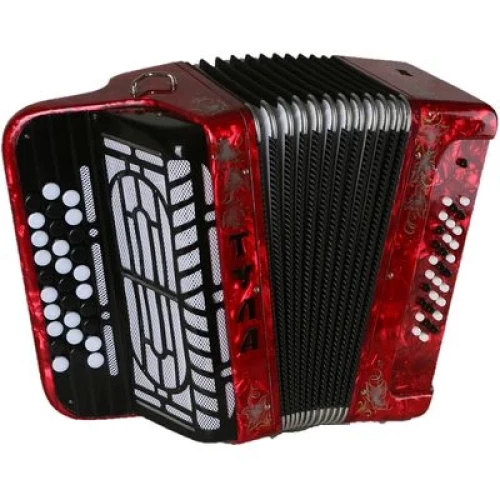 БАЯН ученический детский одноголосный «ТУЛА», 30×30-II БН-56 - фото2